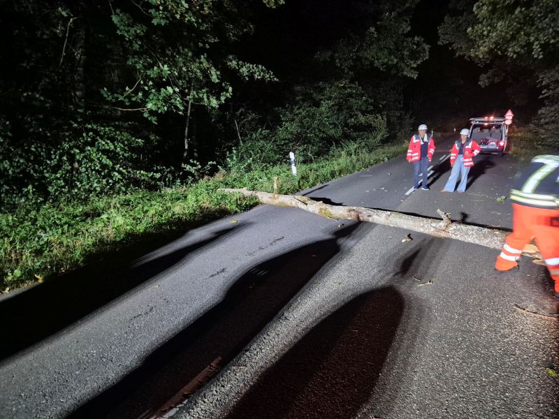 Bild "Einsatzberichte:20260820_Einsatz_Baum_DHof.jpg"