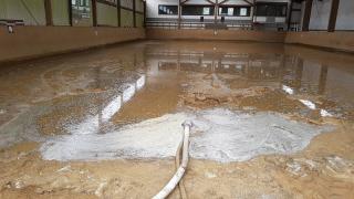 Bild "Einsatzberichte:Reitstall_2.jpg"